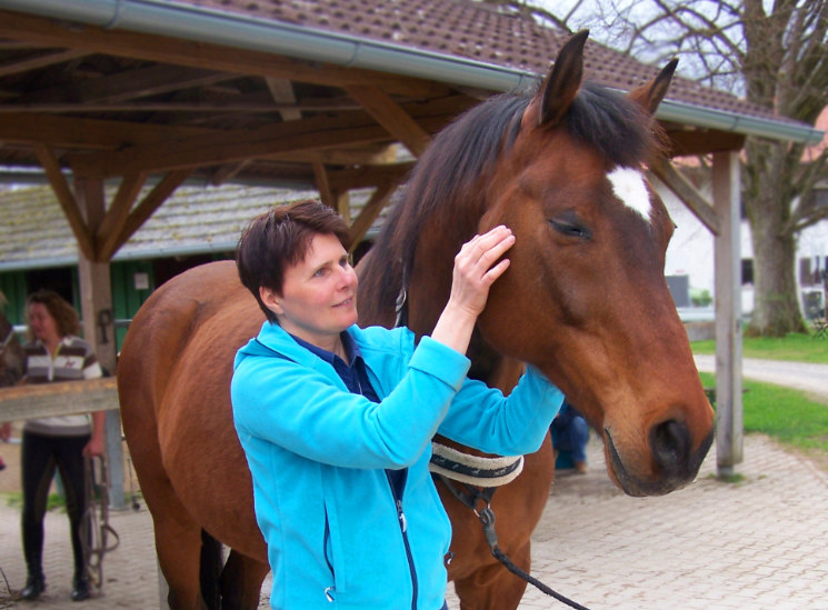 Antje Lehmann ertastet die Position des Kiefergelenks und prüft, ob auch hier Verspannungen oder Verschiebungen vorliegen. Dann folgt die Atlaslogistin der Halswirbelsäule, um den energetischen Impuls zu begleiten. Antjes Hände sprechen zu ihm – und Quintus lauscht aufmerksam.
